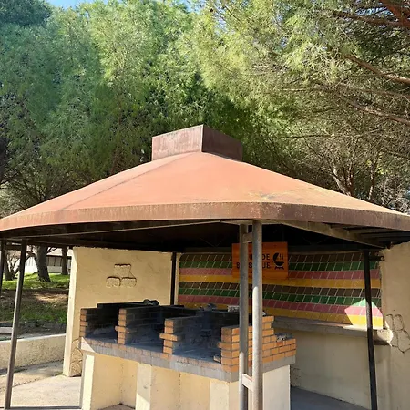 Seasonova Ensoya * سيجيان